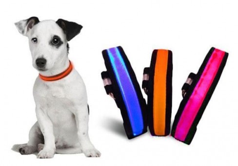 Collier Lumineux à Led...